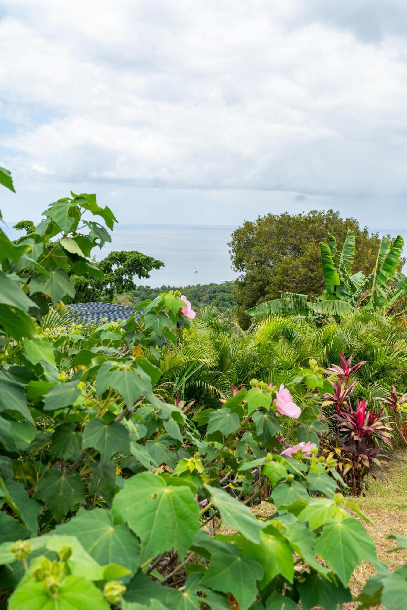 Villa Calypso Bay à Bouillante Extérieur photo