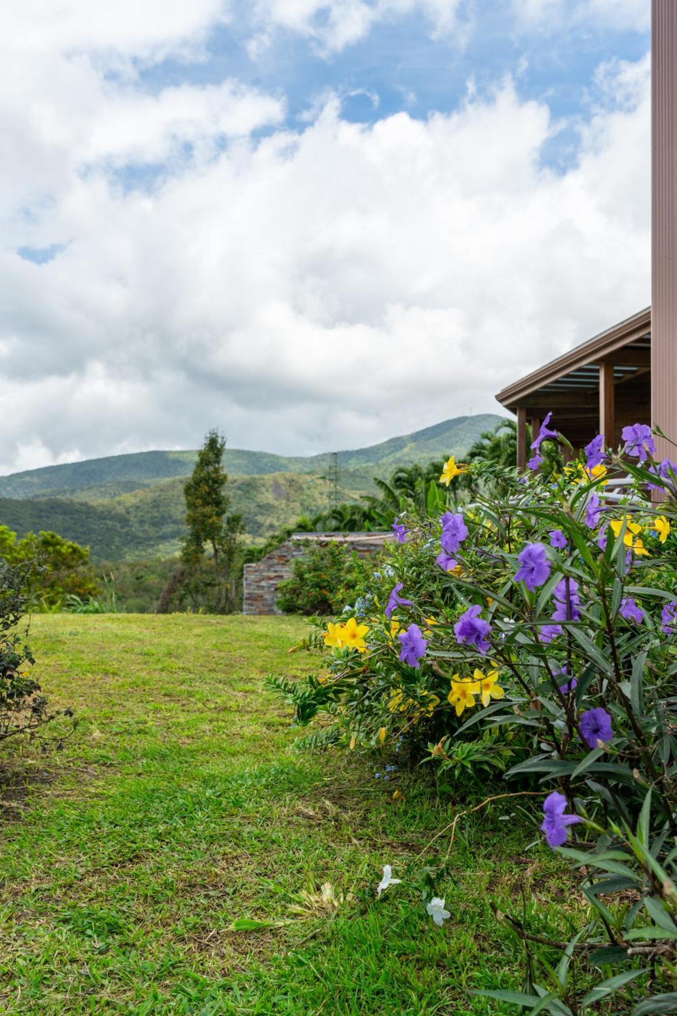 Villa Calypso Bay à Bouillante Extérieur photo