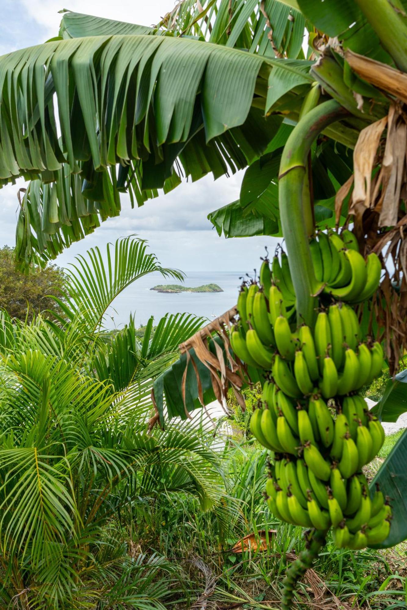 Villa Calypso Bay à Bouillante Extérieur photo
